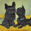 Placeholder: a van gogh painting with a black dog and gray cat