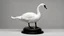 Placeholder: museum, (swan:1.3) on a stand, hand shape