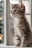 Placeholder: Kitten looking into the window of a home with 4 family members celebrating christmas