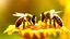 Placeholder: Ultra realistic photo, bees on honey, captured with professional DSLR camera, 64k, ultra detailed