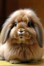 Placeholder: American Fuzzy Lop