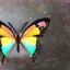 Placeholder: Бабочка красавица на радуге в стекле