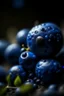 Placeholder: macro photo of blueberry, shot on Hasselblad h6d-400c, zeiss prime lens, bokeh like f/0.8, tilt-shift lens 8k, high detail, smooth render, down-light, unreal engine, prize winning