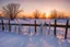 Placeholder: Frozen landscape at sunset, snow and ice on a fence