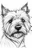 Placeholder: Portrait of a west highland terrier, traditional hand-drawn ink line sketch, retaining rough structure lines and flying lines; alcohol marker coloring, transparent, water scale edge and strong white highlight; texture white paper background, strong line dynamics; 3:4