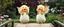 Placeholder: two totally symmetric fluffy angel gremlin slug nice cheerleader singing on bridge in garden , full body portrait T-pose