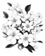 Placeholder: Jasmine Flower bunch coloring page white background, black and white onlyb outline