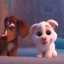 Placeholder: Cute puppies