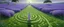 Placeholder: A light purple maze of illusion painted by Birge Harrison