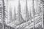 Placeholder: Norwegian forest, woodland- Pencil drawing, illustrative, graphite, crosshatching, blending