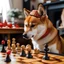 Placeholder: a shiba inu with a christmas hat playing chess