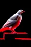 Placeholder: a tired white dove bleeding from the wings at full moon