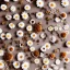 Placeholder: circle arrangement of small dried flowers on white textured paper, pressed flowers, aesthetic layout, beautiful composition, daisies, vintage, brightly lit, tender