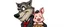 Placeholder: wolf al capone smiling carrying a lovely scared wtf are you up to, pig girl with dress under his arms , stupid cartoon, airbrush and pen outline