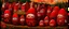 Placeholder: A dark red vampiric village designed in Matryoshka dolls painted by Frank Wilson