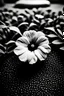 Placeholder: a lonely petunia on the ground.This image is intended to be colored in by an adult, so use the colors black and white accordingly