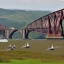 Placeholder: 1st Battle Squadron and the Forth bridge