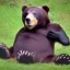 Placeholder: sleepy bear