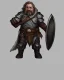 Placeholder: d&d character, dwarf, male, paladin, plate armor