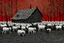 Placeholder: old barn in Style: Yayoi Kusama artist. landscape, pastoral, sheep