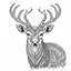 Placeholder: deer, realistic, coloring page, Animal, mandala, only draw lines, coloring book, clean line art, wildlife-inspired, kid style, –no sketch, color, –ar 3:4, white background, minimalistic black lines, 8k, minimal black color, low level black colors, coloring page, use pure black and white colors, avoid thick black colors, thin black line art, avoid colors, perfect shape, perfect clear lines, clear edges, fill total edges, exact perfect edges, not use black colors, dont use black colors