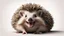 Placeholder: Realistic Hedgehog Lying On His Back And Laughing