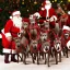 Placeholder:  Santa Clause's sleigh pulled by greyhounds, photograph, Santa is African