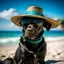 Placeholder: perro negro con lentes de sol y gorra en una playa del caribe como caricatura