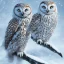 Placeholder: snow OWL