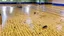 Placeholder: lady dirties wood floor in public fitness gym