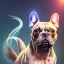 Placeholder: a detailed illustration of a french bulldog, phoenix bird wallpaper, luminescent body, full body, symmetrical body, realistic, glowing muscles, sharp focus, meticulously detailed, soft evening sky, 64k