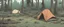 Placeholder: campsite, tents, overgrown, post-apocalyptic, comic book, forest