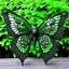 Placeholder: metal gothic green lacewing wings