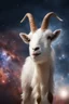 Placeholder: See goats in the space