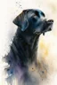 Placeholder: A portrait of black Labrador by Willem Haenraets, watercolor, on watercolor paper, wet on wet and splattering techniques, centered, perfect composition, abstraction, surrealism