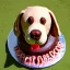 Placeholder: Labrador retriever made of chocolate cake