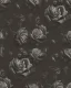 Placeholder: A highly detailed oil painting of intricate black rose flowers, seamless pattern, Victorian, fireflies lighting , little house in the prairie , 24mm , 8k , 3d,close up,