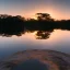 Placeholder: lotus jungle lake at sunset