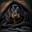 Placeholder: Disney style picture of a black and tan short hair dachshund puppy of 7 months. wrapped up in a blanket, more black than tan