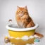 Placeholder: A red fluffy cat sitting in a bathtub filled with water with lots of bath foam and a small grey mouse in its hand. On the floor lies a yellow bath sponge in a small puddle of water. Everything on a white background to be removed.