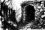 Placeholder: black and white lineart, closeup of an old crumbling stone wall, overgrown with mosses, leaves, brushes, gnarly trees, tree roots, stones and rubble, created in and watercolor, highly detailed, gritty textures, grafik novel style of bill sienkiewicz