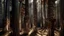 Placeholder: Espacio de contemplación inmersivo dentro de un denso bosque de pinos, formado por una serie de tótems de madera tallada que representan partes del cuerpo humano integradas con la corteza. Los elementos invitan al espectador a tocarlos y caminar entre ellos siguiendo un sendero ritual. Estilo de fotografía artística macro, enfocada en la rugosidad de los materiales naturales y la luz filtrada.
