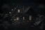 Placeholder: dark cottagecore botanic