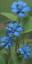 Placeholder: a bunch of blue flowers with green leaves, a digital rendering by Kanzan Shimomura, cgsociety, photorealism, rendered in maya, daz3d, photorealistic