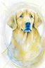Placeholder: abstract watercolour of a golden retriever dog’s head in the style of Valerie Davide with bifurcated circles and thin pencil lines
