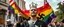 Placeholder: gay nazi crusader