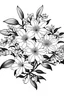 Placeholder: isometric Jasmine flowers, black and white coloring book drawing, only thin outlines, no grayscale, no shadows, for adult coloring book