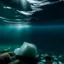 Placeholder: underwater images in an icy sea