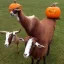 Placeholder: goat with a pumpkin head