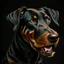 Placeholder: illustration of a black terrier on black background, yellow eyes